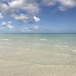 Meet your Posher, Maxie